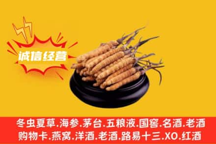 四子王旗回收冬虫夏草